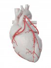 Ilustración de tres bypass en el corazón humano . - foto de stock