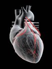 Ilustración de tres bypass en el corazón humano . - foto de stock