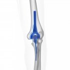 Ilustración de prótesis de reemplazo azul codo sobre fondo blanco . - foto de stock