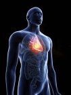 Ilustración de silueta azul transparente del cuerpo masculino con tumor cardíaco de color
. - foto de stock