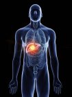 Ilustração do câncer de fígado na silhueta do corpo masculino em fundo preto . — Fotografia de Stock