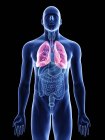 Ilustración de pulmones en silueta corporal masculina sobre fondo negro
. - foto de stock