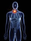 Illustration du cancer de la glande thyroïde dans la silhouette du corps masculin sur fond noir . — Photo de stock