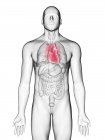 Ilustração do coração na silhueta do corpo masculino sobre fundo branco . — Fotografia de Stock