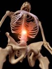 Ilustração do esqueleto humano coluna dolorosa . — Fotografia de Stock