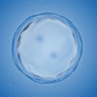 Illustration of human egg cell dividing on blue background. — Stock Photo