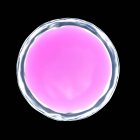 Illustration of pink human egg cell on black background. — Stock Photo