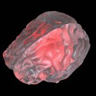 Illustration of red glowing transparent glass brain. — Stock Photo
