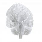 Ilustración del cerebro de vidrio sobre fondo blanco
. - foto de stock