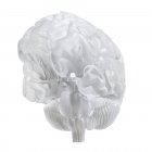 Illustrazione del cervello di vetro su sfondo bianco . — Foto stock