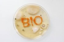 Close-up of BIO lettering from growth culture in agar plate, microbiology concept. — Stock Photo