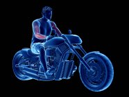3d rendering illustrazione di muscoli motociclista su sfondo nero . — Foto stock