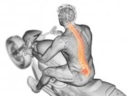 3d renderizado ilustración de la columna vertebral del motorista sobre fondo blanco . - foto de stock