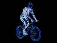 3d renderizado ilustración de esqueleto en silueta de ciclista masculino sobre fondo negro . - foto de stock