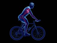 3d rendu illustration du cœur cycliste masculin tout en faisant du vélo sur fond noir . — Photo de stock