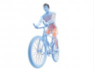 Трехмерная иллюстрация, показывающая активные мышцы велосипедиста на белом фоне
. — стоковое фото