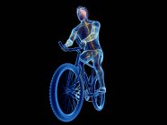 3D рендеринг иллюстрации мозга велосипедиста во время тренировки на черном фоне . — стоковое фото