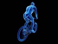 3D ілюстрація скелета в силуеті чоловічого велосипедиста на чорному тлі . — стокове фото