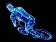 3D надані ілюстрація того, скелет у силует чоловічого велосипедист на чорному фоні. — стокове фото