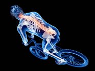 3D gerenderte Darstellung des Skeletts in der Silhouette eines männlichen Radfahrers auf schwarzem Hintergrund. — Stockfoto