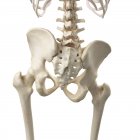 3d ilustración de la pelvis inclinada en el esqueleto humano . - foto de stock