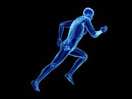 3D надані ілюстрація того, скелет у бігун тіла силует на чорному фоні. — стокове фото
