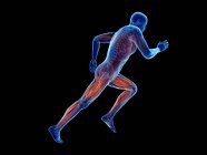 3D надані ілюстрація бігун активних м'язів на чорному фоні. — стокове фото