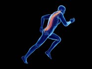 3D надані ілюстрація чоловічого бігун хребта під час роботи на чорному фоні. — стокове фото