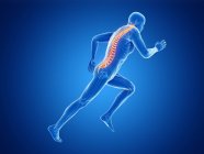 3d rendering illustrazione della colonna vertebrale maschile jogger durante la corsa su sfondo blu . — Foto stock