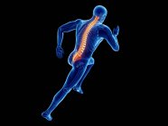 3d rendered illustration of male jogger spine while running on black background. — Stock Photo