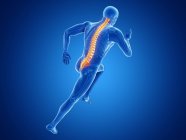 3d rendered illustration of male jogger spine while running on blue background. — Stock Photo