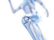 3D gerenderte Illustration des Jogger-Knies beim Laufen auf weißem Hintergrund. — Stockfoto