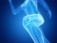 3d rendered illustration of jogger knee while running on blue background. — Stock Photo