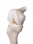 3D рендеринг иллюстрация человеческого колена на белом фоне . — стоковое фото
