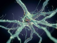 3d renderizado ilustración del sistema de células nerviosas
. - foto de stock