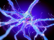 3d renderizado ilustración de la célula nerviosa púrpura
. - foto de stock