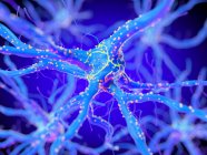 3D gerenderte Illustration der lila Nervenzelle. — Stockfoto
