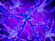 3D надані ілюстрація purple нервових клітин. — стокове фото