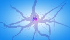 3D ілюстрація нервової клітини людини на синьому фоні . — стокове фото