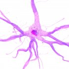 3D gerenderte abstrakte Illustration der rosa Nervenzelle. — Stockfoto