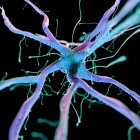 3D надані ілюстрація людини нервових клітин на чорному фоні. — стокове фото