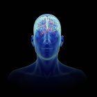 3D gerenderte Illustration des aktiven Gehirns in der menschlichen Silhouette. — Stockfoto
