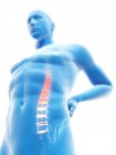 Vista de ángulo bajo 3d renderizado ilustración de silueta azul del hombre con dolor de espalda . - foto de stock