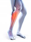 3d rendered illustration of grey silhouette of male legs with painful calf. — Stock Photo