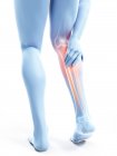 3d renderizado ilustração de silhueta azul de pernas masculinas com bezerro doloroso no fundo branco . — Fotografia de Stock