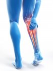 3D gerenderte Illustration der blauen Silhouette männlicher Beine mit schmerzhaftem Kalb auf weißem Hintergrund. — Stockfoto