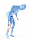3d rendered illustration of blue silhouette of man with painful calf on white background. — Stock Photo