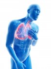 3d renderizado ilustración de silueta azul del hombre con los pulmones inflamados . - foto de stock