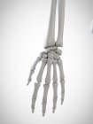 3d illustrazione resa di mano scheletrica su sfondo bianco . — Foto stock