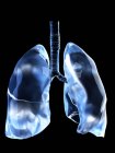 Illustration menschlicher Lungen auf schwarzem Hintergrund. — Stockfoto